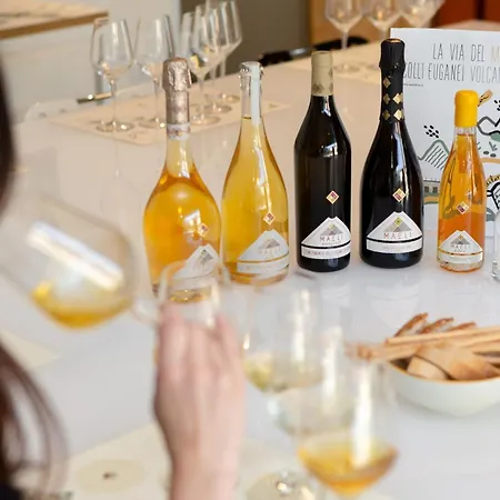 Maeli Winery House Baone